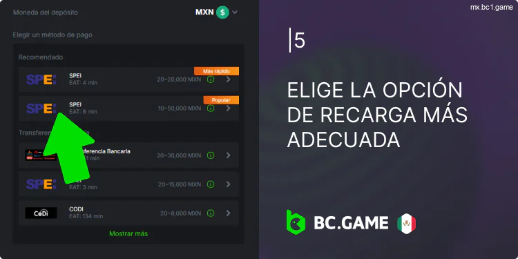 Seleccione un método de pago de la lista de BC.Game