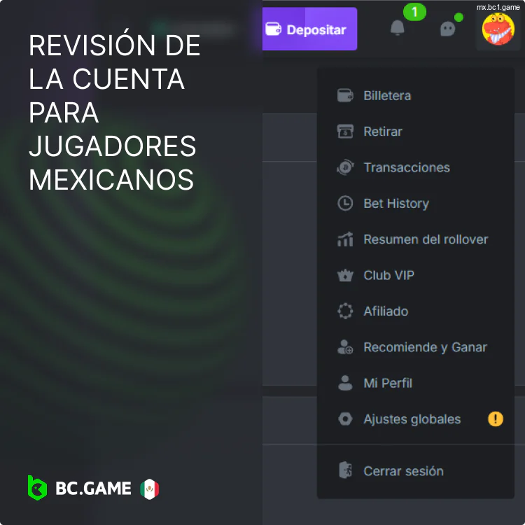 Descripción general de las capacidades de la cuenta BC.Game México