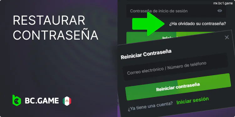 Qué hacer si olvidaste tu contraseña de BC.Game