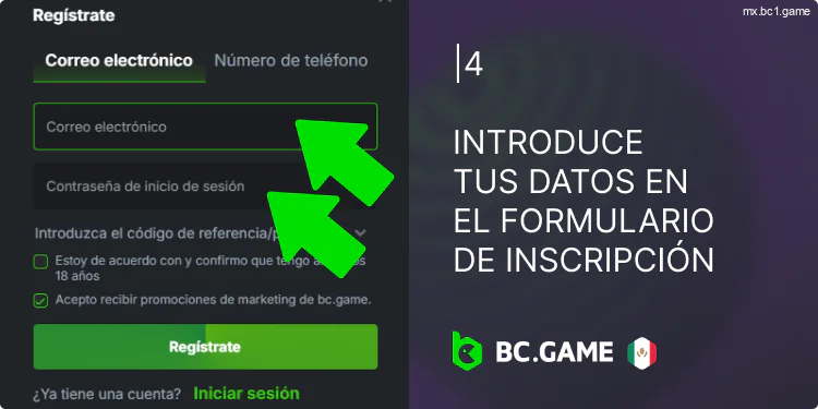 Proporcionar la información solicitada en el formulario de registro de BC.Game